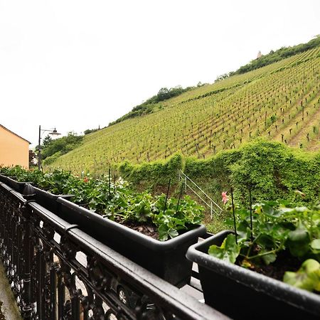 Alte Stadtvilla Am Weinberg 3 Traben-Trarbach Bagian luar foto