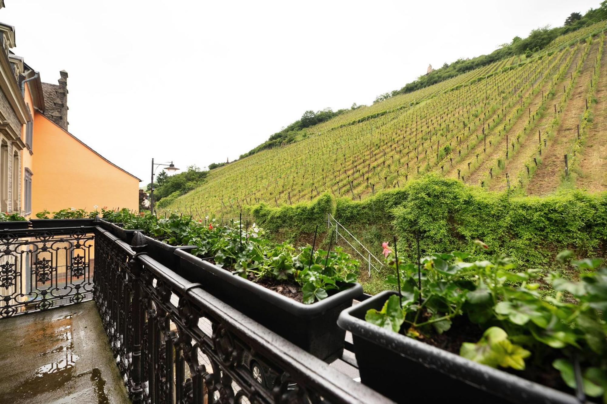 Alte Stadtvilla Am Weinberg 3 Traben-Trarbach Bagian luar foto